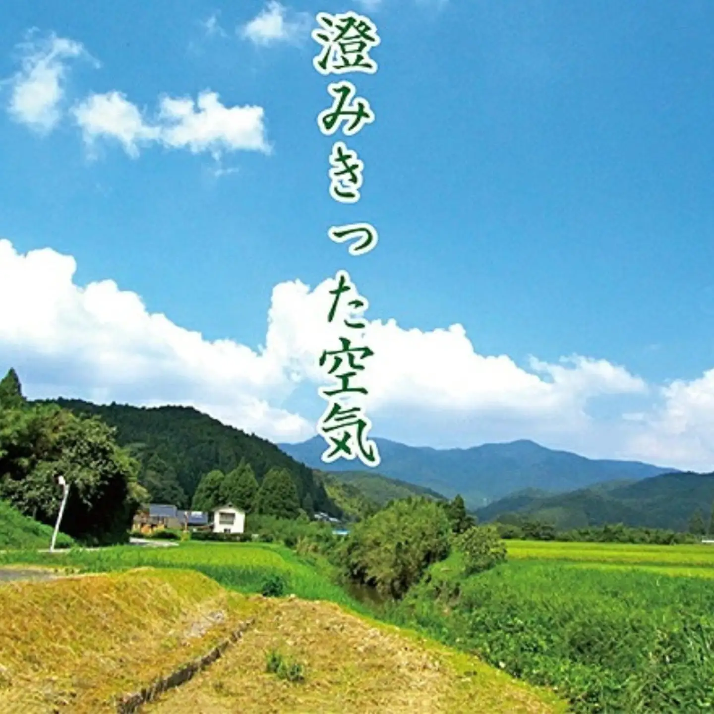 令和7年産　佐賀市三瀬村産「コシヒカリ」10kg（5kg×2袋）：B335-020
