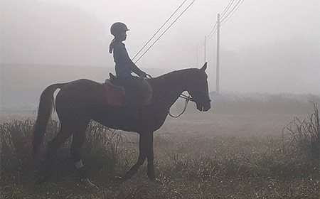 自然の中で馬とふれあう 伊達市で乗馬体験＆エサやり体験【60分】 馬 うま 乗馬 初心者 自然 体験 F21C-245
