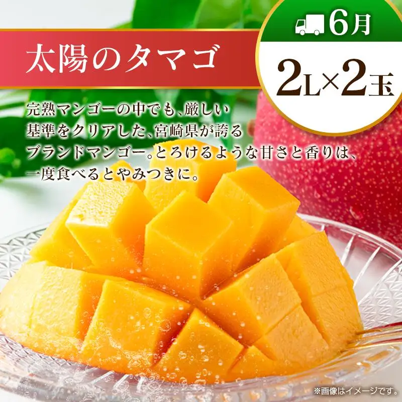【偶数月 6回定期便】旬 人気 フルーツ 南国宮崎産 太陽のタマゴ きんかん シャインマスカット 日向夏 梨 みかん 柑橘 マンゴー ぶどう 果物 詰め合わせ＜A-2コース M120＞