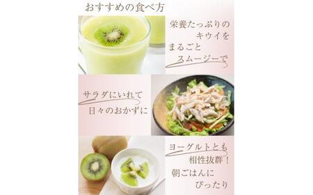 厳選 キウイ10kg+250g（傷み補償分）【扁平果】  / 和歌山 フルーツ 果物 くだもの ※2026年11月中旬より2027年4月下旬頃順次発送予定 ※北海道・沖縄・離島配送不可 【ikd714】