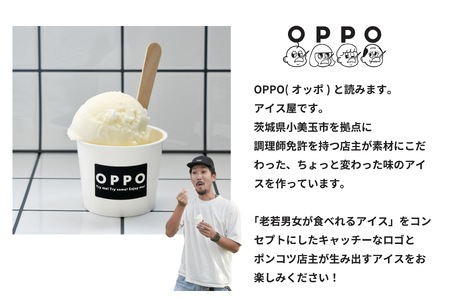 【数量限定】 アイスクリーム 90ml×9カップ アイス スイーツ ミルクアイス ラクトアイス クリーム ミルク ラクト いちじく フルーツ チーズ エスプレッソ コーヒー おやつ お菓子 デザート 国産 茨城県 小美玉市 97-B