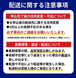 《先行予約》彩り野菜セット 5種 野菜セット