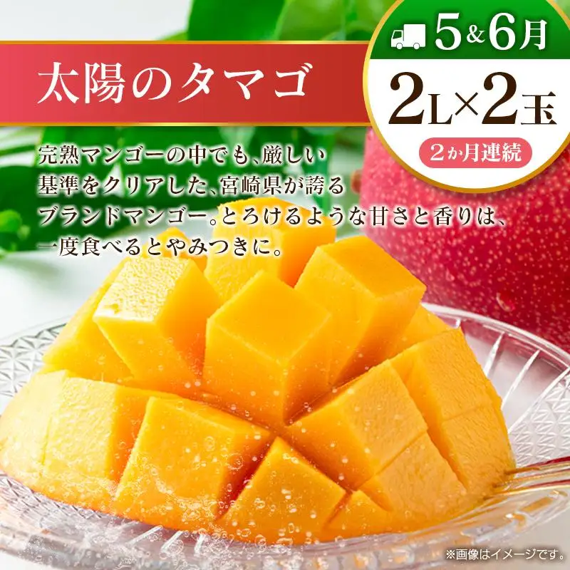 【12回定期便】旬 人気 フルーツ 南国宮崎産 太陽のタマゴ たまたまエクセレント シャインマスカット ピオーネ いちご みかん 日向夏 メロン 梨 柑橘 完熟 マンゴー きんかん たまたま ぶどう 果物 詰め合わせ 宮崎県 九州 1年 毎月お届け＜Aコース M100＞