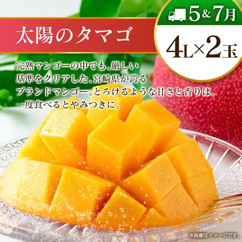 【12回定期便】旬 人気 フルーツ 南国宮崎産 マンゴー ライチ 金柑たまたまエクセレント シャインマスカット ピオーネ いちご みかん 梨 柑橘 太陽のタマゴ きんかん たまたま ぶどう 果物 詰め合わせ 宮崎県 九州 1年 毎月お届け＜Dコース M400＞