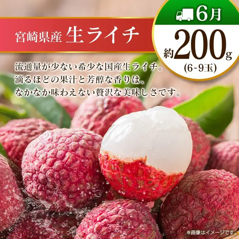【12回定期便】旬 人気 フルーツ 南国宮崎産 マンゴー ライチ 金柑たまたま シャインマスカット ピオーネ いちご みかん 日向夏 メロン 梨 柑橘 きんかん ぶどう 果物 詰め合わせ 宮崎県 九州 1年 毎月お届け＜Bコース M200＞