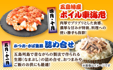 【12回定期便】五島のお魚！満喫定期便（2人前）/五島市[PZX054]