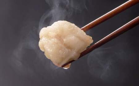 【3ヶ月定期便】 毎月違う味をお届け！博多もつ鍋3人前（醤油味・味噌味・明太醤油味） 1ヶ月毎 3回 牛もつ 牛小腸 牛肉 お肉 ちゃんぽん麺 チャンポン? 