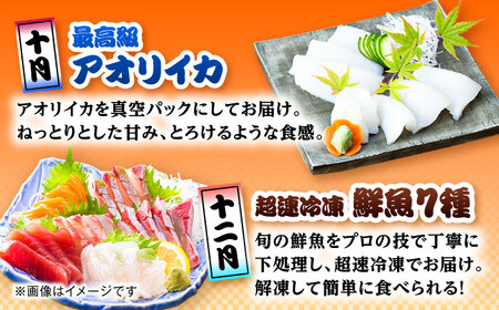 【6回定期便】五島のお魚！満喫定期便（4人前）/五島市[PZX055]