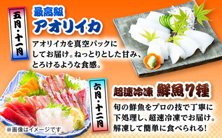 【12回定期便】五島のお魚！満喫定期便（4人前）/五島市[PZX056]