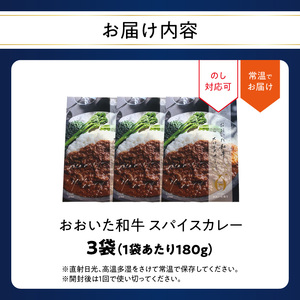 おおいた和牛 スパイスカレー 3袋 K03038