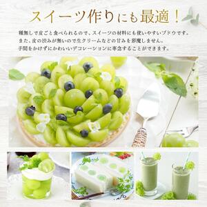 【ふるなびWEEK対象】【2026年発送分 先行予約】岡山県産 シャインマスカット 1.2kg以上（2～3房）【ご家庭用】【025-a035】