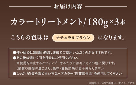ダリヤ サロンドプロ カラートリートメント 3個セット【ナチュラルブラウン】 / 稲沢市 / 日興商事株式会社 [BMBK003-01]