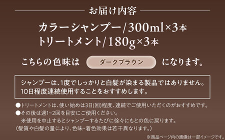 ダリヤ サロンドプロ カラーシャンプー・トリートメント 各3個セット【ダークブラウン】 / 稲沢市 / 日興商事株式会社 [BMBK005-02]