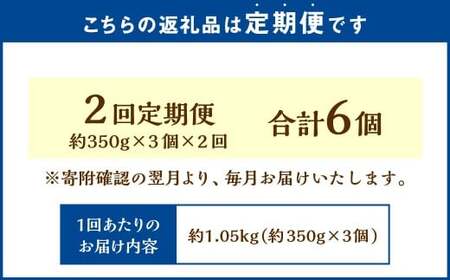 【2回定期便】 北海道フロマージュ （メロン） 約1.05kg （約350g×3個） （計約2.1kg） フロマージュ クリームチーズ ケーキ 洋菓子 菓子 お菓子 定期便 北海道 小樽市 冷凍