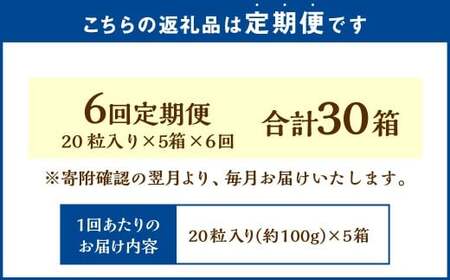 【6回定期便】 《冷凍》 北海道生チョコレート （ミルク） 5箱×6回 合計30箱 生チョコレート 生チョコ チョコレート チョコ スイーツ 北海道 小樽市
