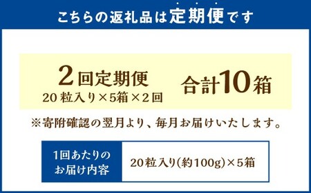 【2回定期便】 《冷凍》 北海道生チョコレート （ほうじ茶） 5箱×2回 合計10箱 生チョコレート 生チョコ チョコレート チョコ スイーツ 北海道 小樽市