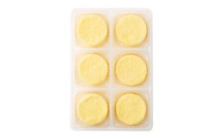 【5回定期便】 北海道ミニフロマージュ （プレーン） 約900g×5回 合計約4.5kg ミニフロマージュ フロマージュ チーズケーキ ケーキ スイーツ 洋菓子 冷凍 北海道 小樽市