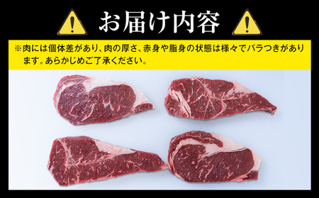 熊本県 国産牛 サーロインステーキ 300g 《30日以内に出荷予定(土日祝除く)》くまもと 熊本県 牛肉 冷凍 個別 取分け 小分け チャック付き バラ凍結 肉 お肉 ステーキ ステーキ用