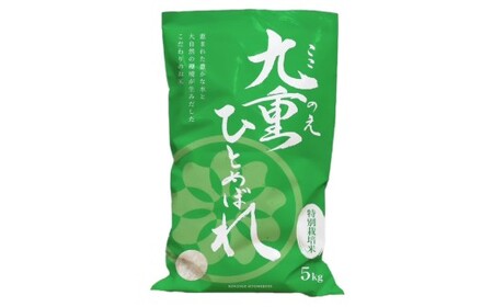 【3ヵ月定期便】 九重 ひとめぼれ 5kg×3回 計15kg 米 こめ コメ お米 精米 ご飯 ごはん 常温 国産