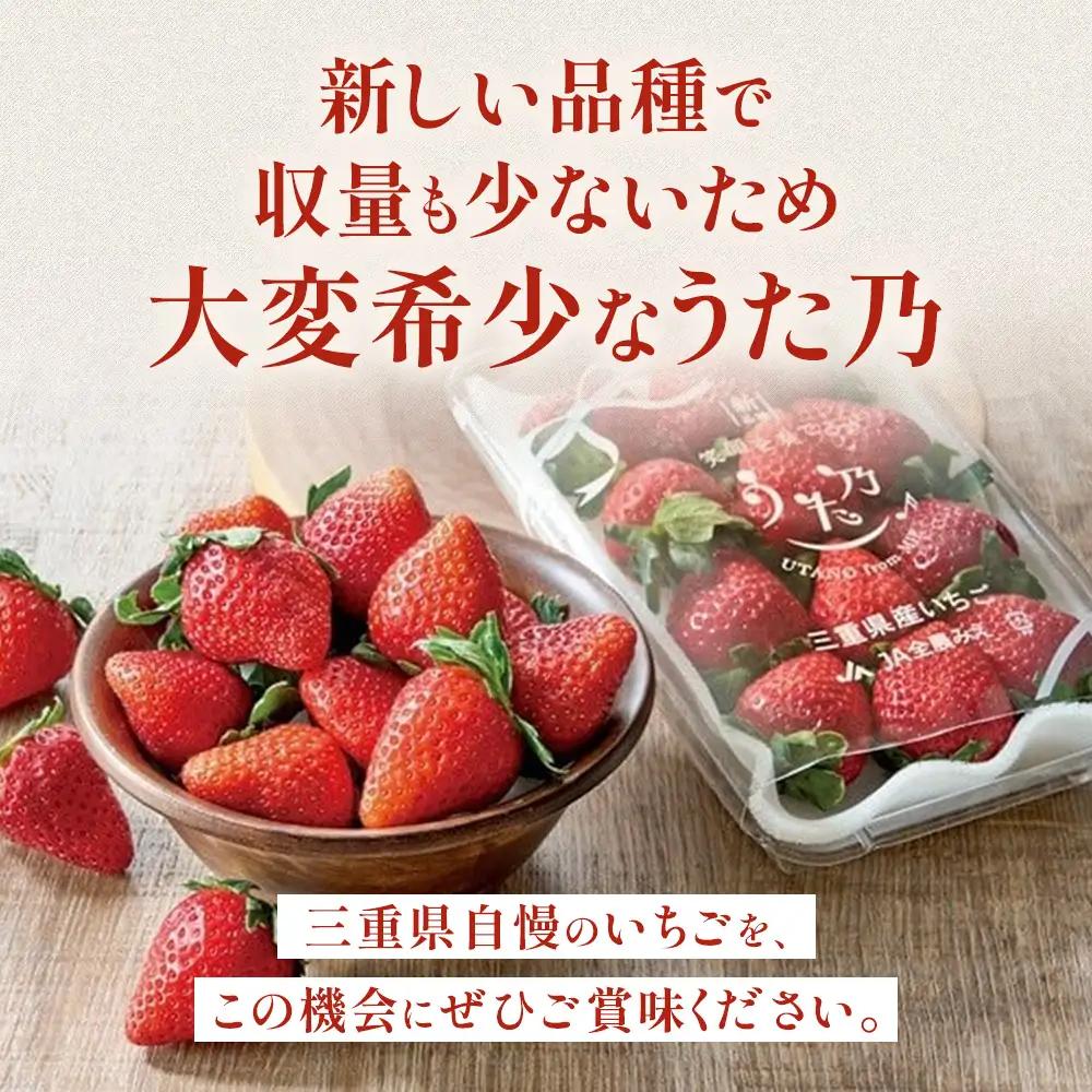 いちご【26年3～5月発送】うた乃 2パック×250g 完熟いちご