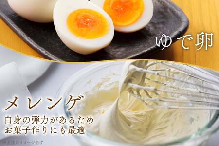卵 平飼い たまご タマゴ 玉子 新鮮 6回 定期便 平飼い放牧卵「itadaki」4パック 24個／回 総計144個 [ナチュラルエッグラボ 長崎県 平戸市 hr42bgy420061]