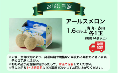 【令和8年産　先行予約・数量限定！】令和８年産　若猪野アールスメロン 1.6kg 以上 (赤肉・青肉各１玉）合計 2玉 箱入り ※2026年７月下旬より順次発送 [A-011016] 