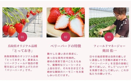 最高級ベリーバード 『極』【期間･数量限定】_T2600405