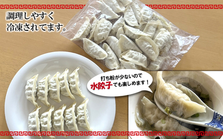 【茨城県共通返礼品】◎最短翌日発送◎ 冷凍餃子 約120個 K2663