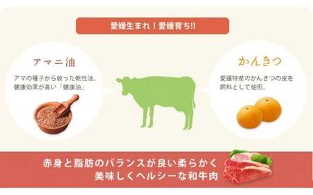 愛媛あかね和牛 赤身ウデモモ薄切り（すき焼き・しゃぶしゃぶ用）約600g 肉 お肉 【えひめの町（超）推し！（松前町）】（745）