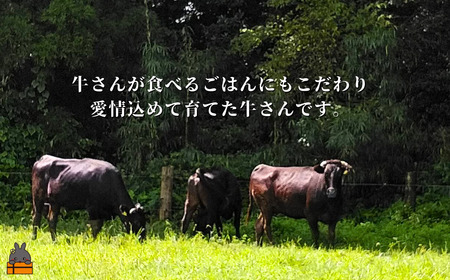 40代からの赤身を極めた鹿児島黒毛和牛切り落とし300g ( 厳選 赤身 プレミアム 高品質 鹿児島黒毛和牛 黒毛和牛 牛肉 万能 料理 徳之島 奄美 鹿児島 すき焼き しゃぶしゃぶ 高島屋 )
