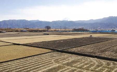 【令和7年産】たとみ農園のお米 ヒノヒカリ 2kg ／ お米 米 コメ こめ ご飯 白ご飯 白ごはん 白米 はくまい たとみ農園 山梨県産 国産 単一原料米 精米 山梨県 中央市 常温