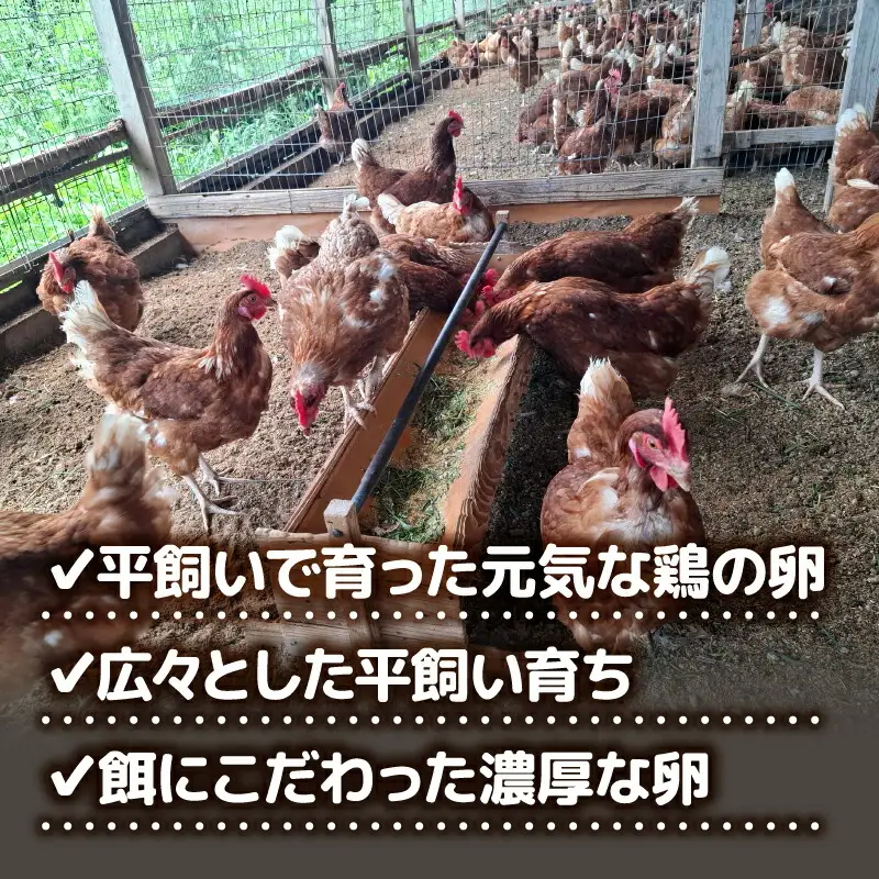 【卵 6回定期便】土佐ジローの卵 30個入 高知県 南国市