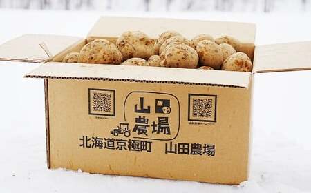 【訳あり】 北海道産 じゃがいも （キタアカリ） 約3kg 山田農場 きたあかり 栗じゃが ジャガイモ 芋 いも 野菜 やさい 北海道 京極町 常温 【2026年9月下旬-2027年1月上旬迄発送予定】