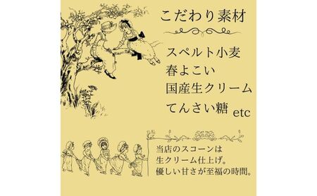おまかせスコーンセット スコーン おまかせ セット 詰め合わせ ギフト 冷凍 おやつ お菓子 焼き菓子 こだわり素材 愛知県 扶桑町