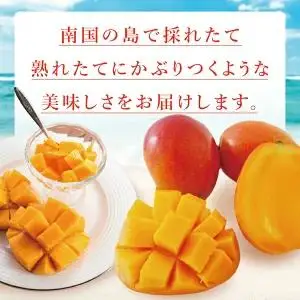 豊見城産マンゴー『殿内之宝(どぅんちのたから)・極』約1kg
