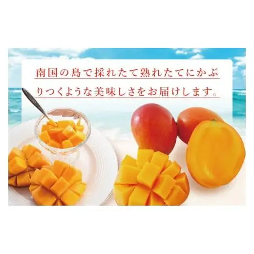 豊見城産マンゴー『殿内之宝(どぅんちのたから)』約1kg(ご家庭用) 
