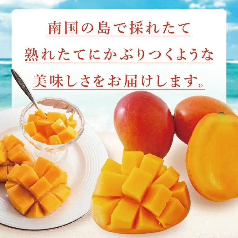 豊見城産マンゴー『殿内之宝(どぅんちのたから)』約2kg(ご家庭用)