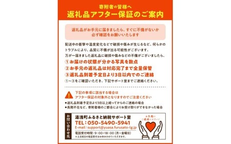 DZ6238_【2026年先行予約】家庭用 訳あり 有田みかん 和歌山 2S～Lサイズ混合 約2kg