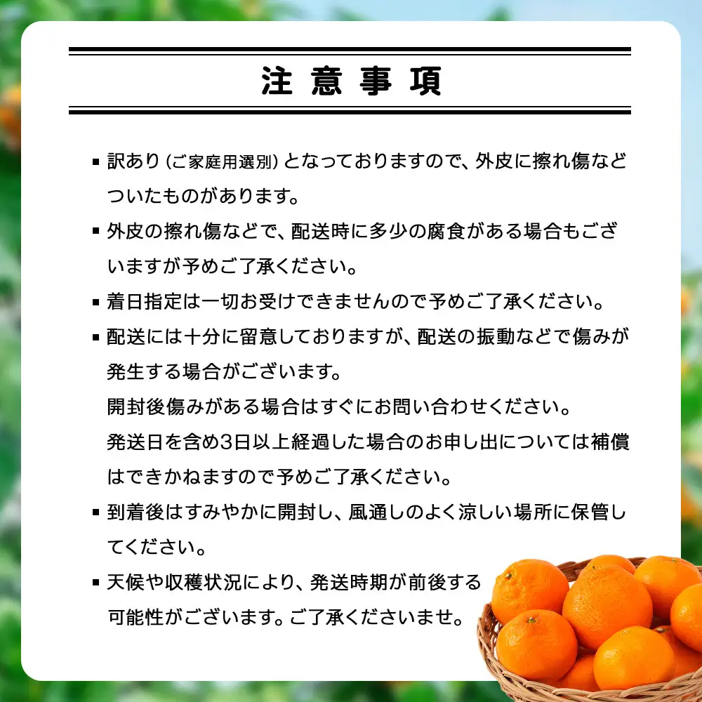 手が止まらない 訳あり 有田みかん 約5kg 大きさ無選別（2S〜3L） 糖度11度以上 鳴川農園 ［2026年11月以降発送予定］