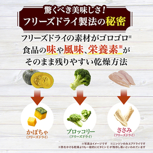 グラン・デリ フレシャス 早食い 軽減 設計 チキン＆ビーフ入り 2kg×4袋 ペットフード