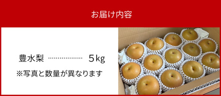 完熟採り　もりやま梨（豊水）５キロ【先行予約】 CW-0003
