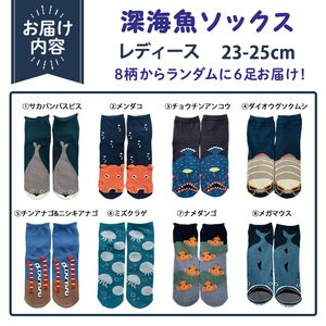 レディース 深海魚ソックス(おまかせ6足セット) 【m80-02】【アシスト】