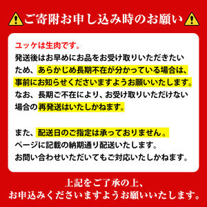 i1211-B 鹿児島県産黒毛和牛ユッケ12人前(40g×12P・計480g) 肉 牛肉 黒毛和牛 国産 鹿児島県産 ユッケ 生食 旨み 480g 12人 【株式会社LRプラスK】