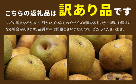 【先行予約】梨 訳あり梨 約2kg-2.5kg(6-10玉) 《2026年8月下旬-10月下旬頃出荷》 株式会社Foody’s なし 和梨 フルーツ 果物 ご家庭用 不揃い キズあり 菊池市産 熊本県産 九州産