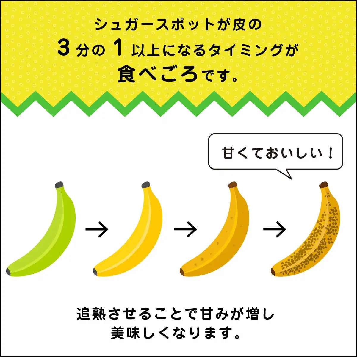 高原の駅なんじょうバナナ3～4房（12品種から旬のものを詰合せ）   