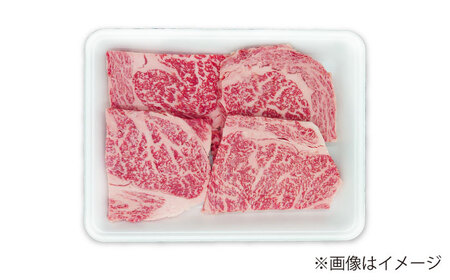 【2回定期便】長崎和牛 ロースステーキ ハーフ600g 佐世保エスディー食品 [DBW052] ステーキ 牛