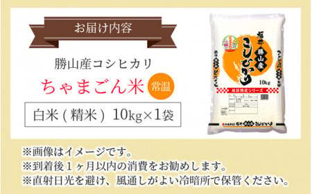 【令和7年産 新米】勝山産 コシヒカリ ちゃまごん米 精米 10kg [C-010018]