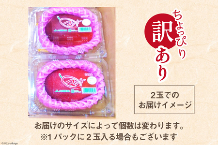 【2026年夏発送】 訳あり 宮崎 完熟 マンゴー 約 1kg [宮崎県農業協同組合日向地区本部（販売課） 宮崎県 日向市 452060659]