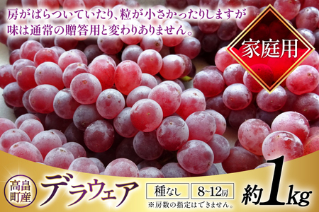 【期間限定発送】 家庭用 訳あり デラウェア 8～12房 約1kg [いわた果樹園 山形県 高畠町 tk06ayt400006]