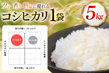 米 令和7年産 石川県産 コシヒカリ 5kg x 1袋 [農事組合法人かさの郷 石川県 津幡町 tb17bgj610003] 